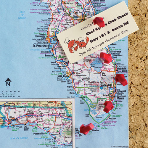 Unique Wall Map Pins